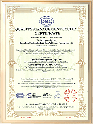  ISO9001 